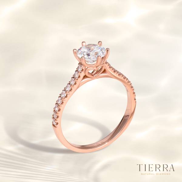 Nhẫn nữ kim cương Cathedral Floral đai tấm NCH1505